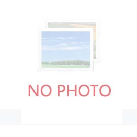 微孔银杏视频APP下载网站入口与穿孔银杏视频APP下载网站入口有什么相同之处？